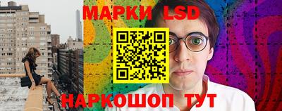 таблы Новозыбков