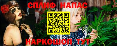 сатива Обь